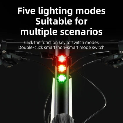 Luz Traseira Inteligente ROCKBROS