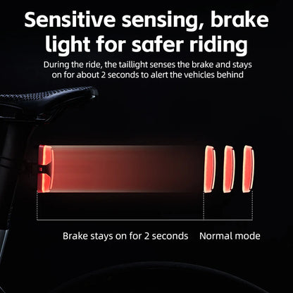 ROCKBROS Smart Rear Light for Bicycles